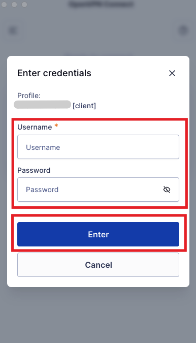 Autorisation in OpenVPN Connect